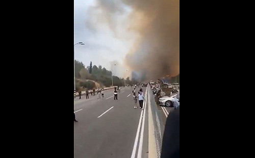 (影) 哈瑪斯打不過以軍就縱火報復? 以色列周邊森林突發大火 大批民眾被迫撤離