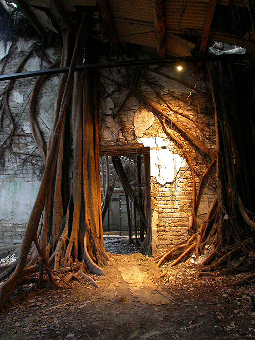 德記洋行設行150年  見證台灣外貿史