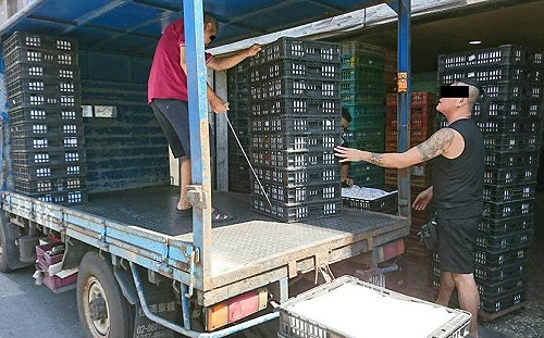 營養午餐SAFE！北市衛生局確認毒蛋未流入校園