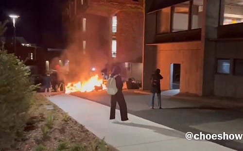 (影) 挺巴抗議到處亂! Met Gala爆衝突、華盛頓大學大樓也被佔領