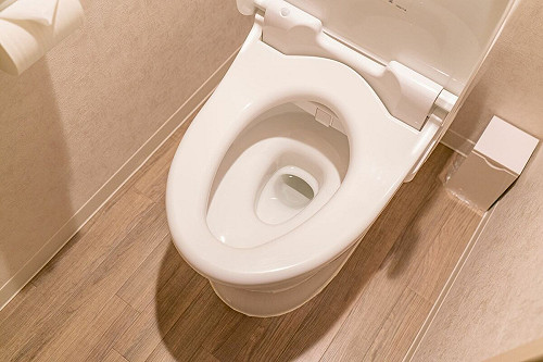 研究：1常見家具「比馬桶髒75倍」！毛小孩家庭要注意