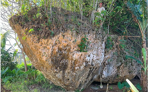 全球最大懸崖巨石現蹤東加 揭露史前海嘯驚人威力