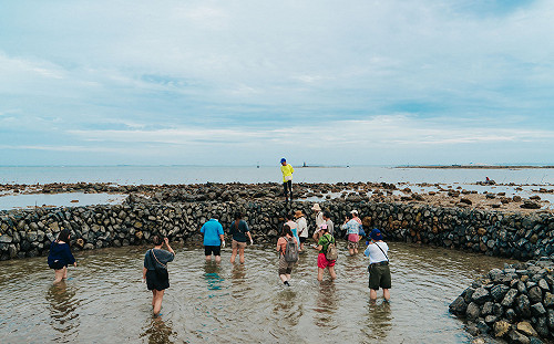 過年返鄉還沒訂到票？春節離島第二波加班機1/6開搶