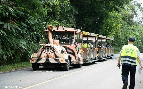 別撲空了！北市動物園6/18起連續休園10天 進行年度檢修