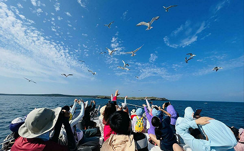 玩轉澎湖新四季遊  澎管處推島嶼探索新體驗