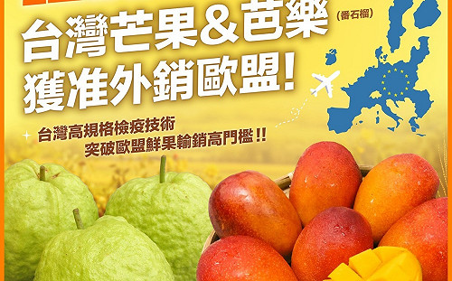 卓榮泰：好消息！台灣芒果跟芭樂可以出口到歐盟國家了 
