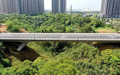 機捷A7站聯外道路牛角坡橋通車 劉世芳：中央補助逾12億完善區域路網