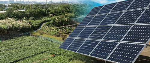 農地種電亂象叢生  監院糾正農委會經濟部