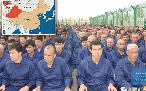 不用「血論文」！也是「強制抽血取樣」爭議 英媒：牛津大學出版社停止中國期刊