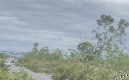 丹娜絲颱風破表陣風狂襲！國道一號如叢林障礙賽