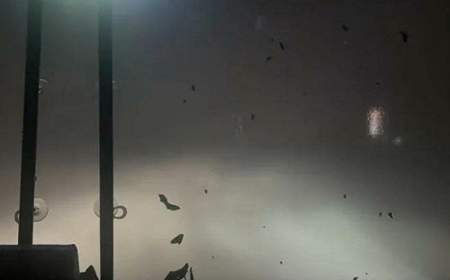 統一尚勇？統一獅球隊巴士無懼丹娜絲颱風狂風　勇闖國道返台南引爆熱議