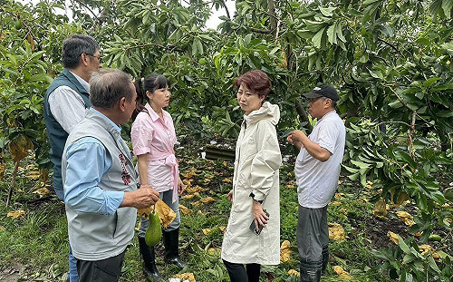 台南勘災政治學：陳亭妃聯絡農業部長、林俊憲直打「總統牌」