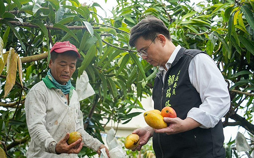 丹娜絲釀高雄農損  賴瑞隆允助農民爭取農業部救助