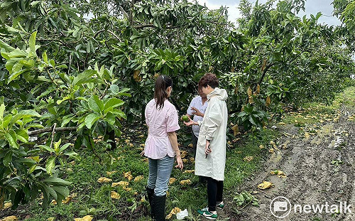 陳亭妃籲比照蘇迪勒颱風模式  丹娜絲颱風農漁災復貸款應第一年免息