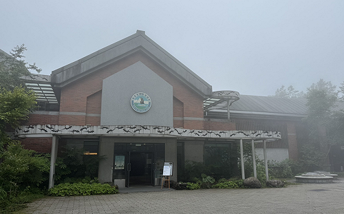 颱風薇帕海警發布 雪霸園區預警性休園