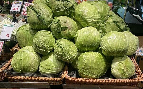 颱風防菜價飆漲！全台四大賣場1581門市  平價國產甘藍限時上架
