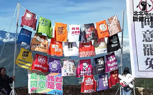 (影)Taiwan Action壓軸《台灣正替世界抵抗中國》向國際喊話 罷免守護台灣價值