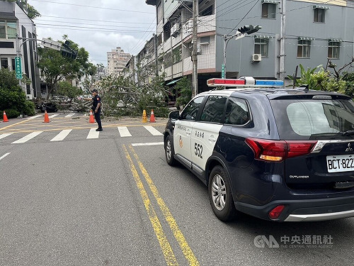 台中北屯路樹倒塌壓損3車　幸無人傷