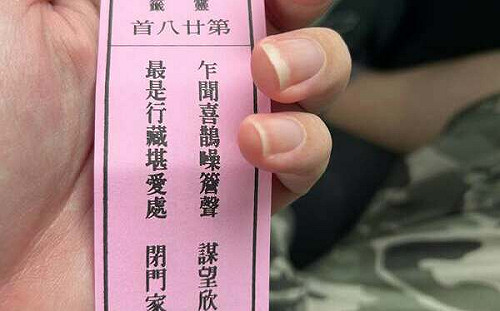 首波罷免全數落敗！周軒求籤問台灣前途　保生大帝「28 字好籤」