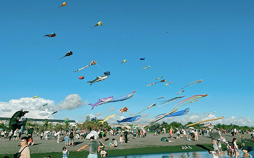 2025旗津風箏節8/2登場  試飛壯麗畫面美照曝光  