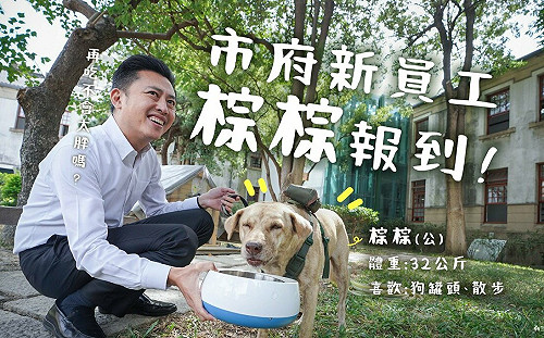 擺拍完就丟？ 新竹市犬「棕棕」被林智堅市府棄養  前幕僚糾正用詞慘遭炎上 