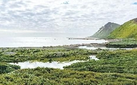 追蹤中國潛艇! 美駐愛沙尼亞軍官建議150億美元向俄買「這島」....