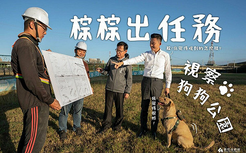 林智堅道歉了！為前新竹市犬「棕棕」找尋合適的新家