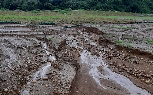 大樹光電案場遇豪雨打回原形  柯志恩促市府加強監督力道