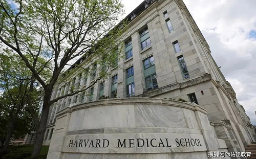 阿茲海默症可逆轉! 哈佛團隊發現低劑量鋰助恢復記憶 已著手人體臨床試驗