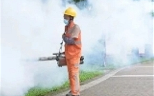 加藥越多 抗藥性越強! 廣東屈公病媒蚊噴藥殺不死 廣西也擴散出現8患者