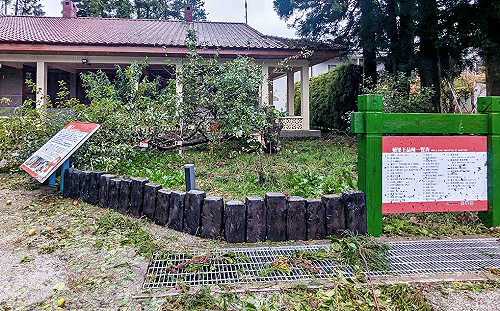 不敵楊柳颱風摧殘！福壽山「蘋果王駕崩」 2.3萬網友不捨送別