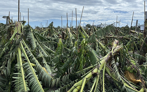 國慶連假天氣出爐！東側水氣增加 北台高溫微降2地有雨 