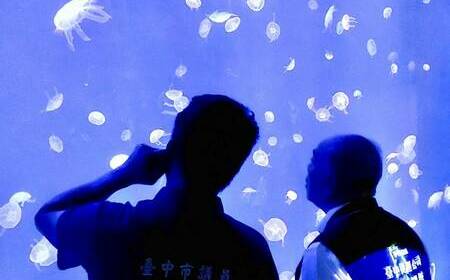 台中海洋館8/21試營運 在地議員建議應有現場售票