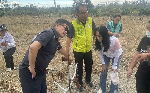 楊柳颱風重創台東酪梨　莊瑞雄批補助限制不公籲專案救助