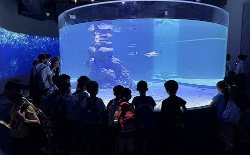 （影）台中海洋館即將迎來首個假日 真人餵食秀超吸睛