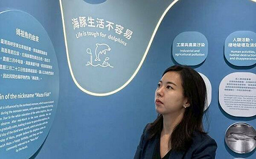 不糾結館票價、牛肉麵太貴  吳佩芸：海洋生物不是裝飾品
