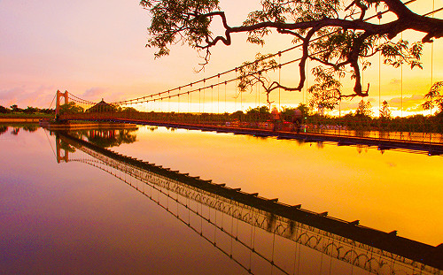 南台灣唯一「水陸鐵人」挑戰！2025泳渡虎頭埤10/15截止報名