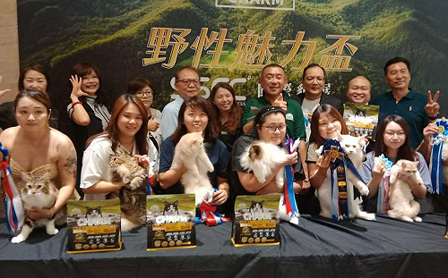 超稀有虎貓及捲⽑貓現⾝高雄貓展  世界⾸創跨界貓咪美容賽登場