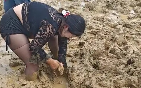 蚌埠音樂節變「插秧節」 ! 滿地爛泥民眾深陷 笑稱一跌倒秒變「兵馬俑」