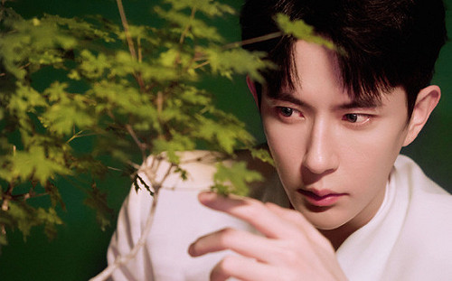 害死于朦朧的是他? 網爆體內有河豚毒素 牽扯這2高官 傳一人是蔡奇私生子