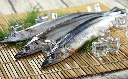 海溫升高！日本秋刀魚大豐收 鄭明典：台灣漁船是否跟上？