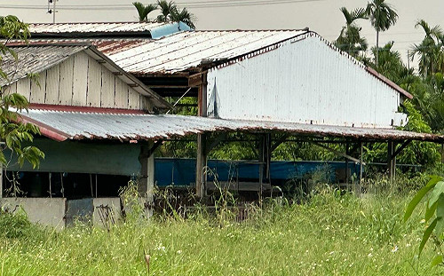 「政府公權力又睡著了?」 屏東非法犬隻繁殖場擾亂社區安寧無人管 