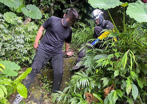 阿里山千人洞露營遭遇虎頭蜂  2男大生遭螫送醫