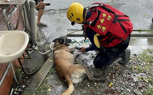 貫徹「同島一命」精神!台南率先開辦花蓮災區依親補助 每戶最高1萬元