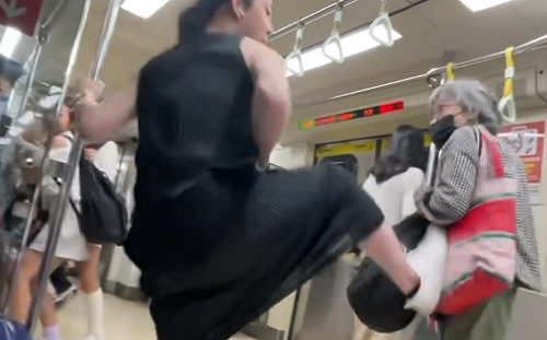 捷運婆婆讓座衝突爆紅！二教授曝她真實身份：穿梭中研院研討會數十年