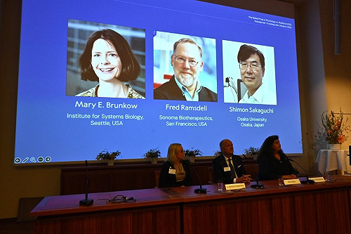 2025諾貝爾醫學獎揭曉  3學者研究人體免疫系統獲表彰