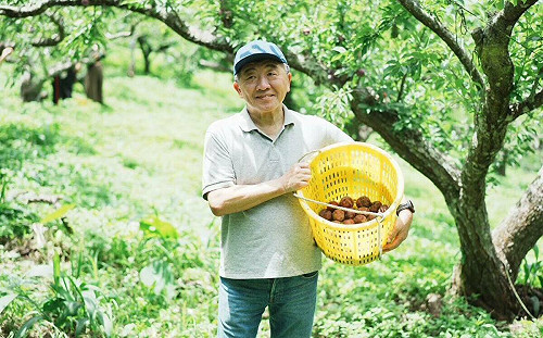 花蓮賑災募款破11億元！善款如回規劃？陳時中：數月內公布方案