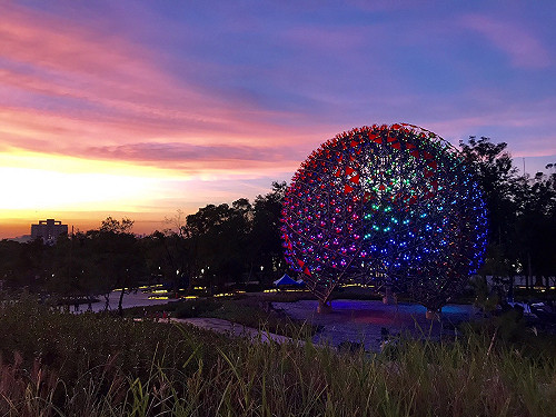 台中花博絕美打卡點　好玩又好拍