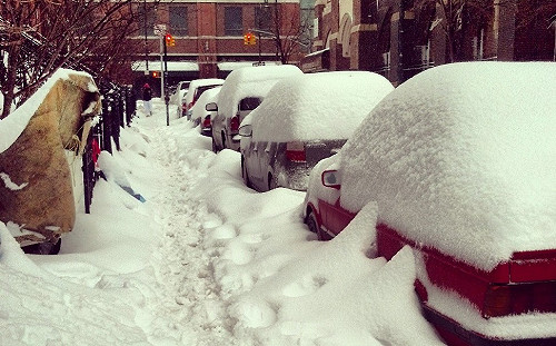 最強風雪還上課  紐約市長怪氣象不準