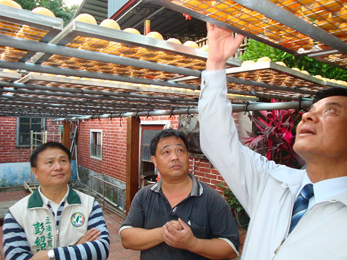 台中選情預測  未來交易所：小英贏馬3.9%